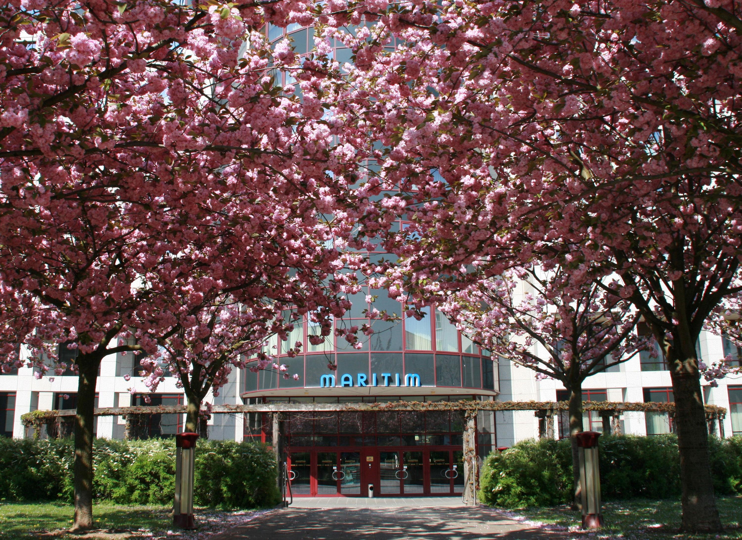 Maritim Hotel Magdeburg Exterior foto